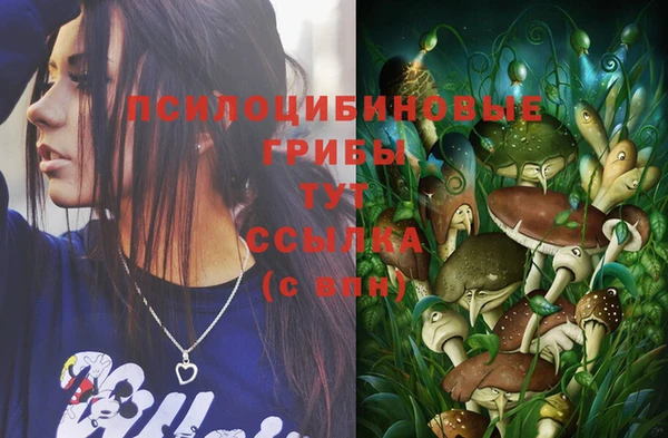 спайс Гусиноозёрск