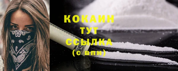 ГАЛЛЮЦИНОГЕННЫЕ ГРИБЫ Гусев
