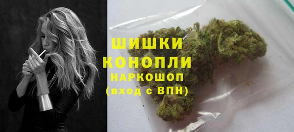 мдпв Гусь-Хрустальный
