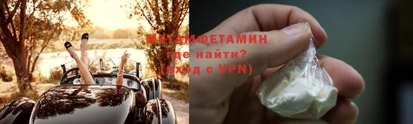 ГАЛЛЮЦИНОГЕННЫЕ ГРИБЫ Гусев