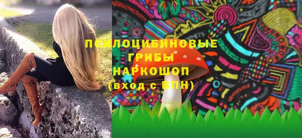 мдпв Гусь-Хрустальный