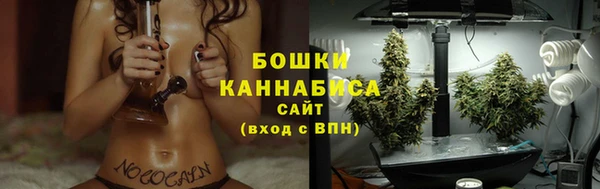 спайс Гусиноозёрск