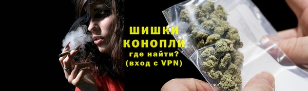 мдпв Гусь-Хрустальный
