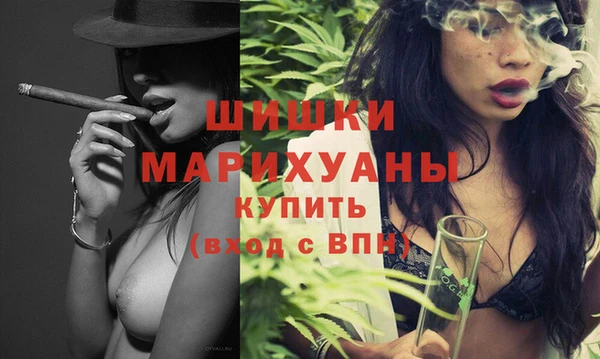 мдпв Гусь-Хрустальный