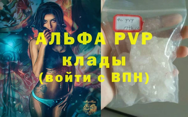 ГАЛЛЮЦИНОГЕННЫЕ ГРИБЫ Гусев