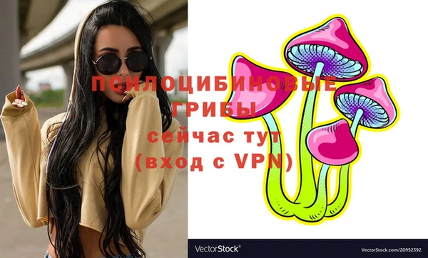 ГАЛЛЮЦИНОГЕННЫЕ ГРИБЫ Гусев