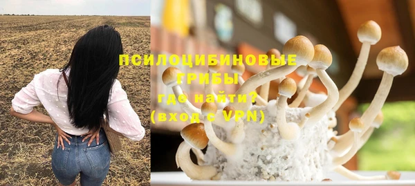 ГАЛЛЮЦИНОГЕННЫЕ ГРИБЫ Гусев