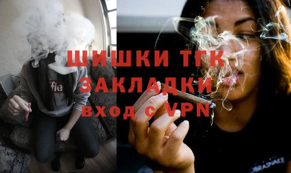 мдпв Гусь-Хрустальный
