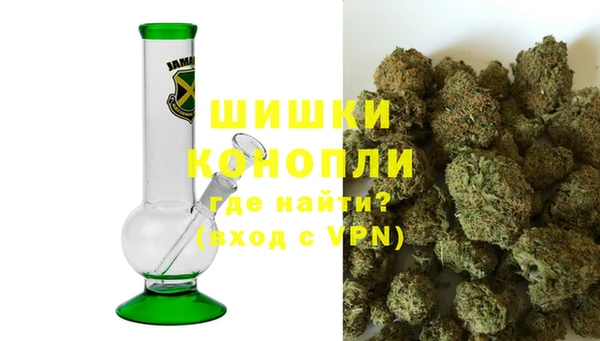 ГАЛЛЮЦИНОГЕННЫЕ ГРИБЫ Гусев