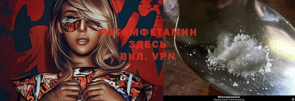 ГАЛЛЮЦИНОГЕННЫЕ ГРИБЫ Гусев