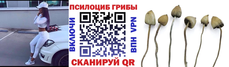 Псилоцибиновые грибы GOLDEN TEACHER  блэк спрут ссылка  Заозёрный 