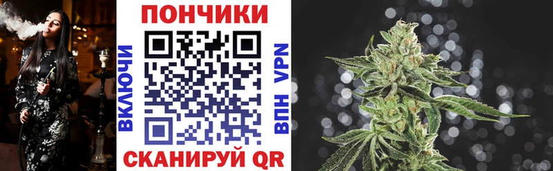 цена наркотик  Заозёрный  Каннабис конопля 